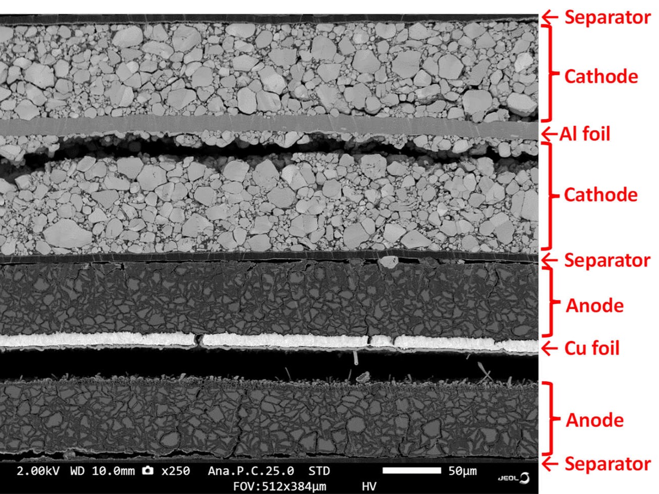 SEM electrode cross-section