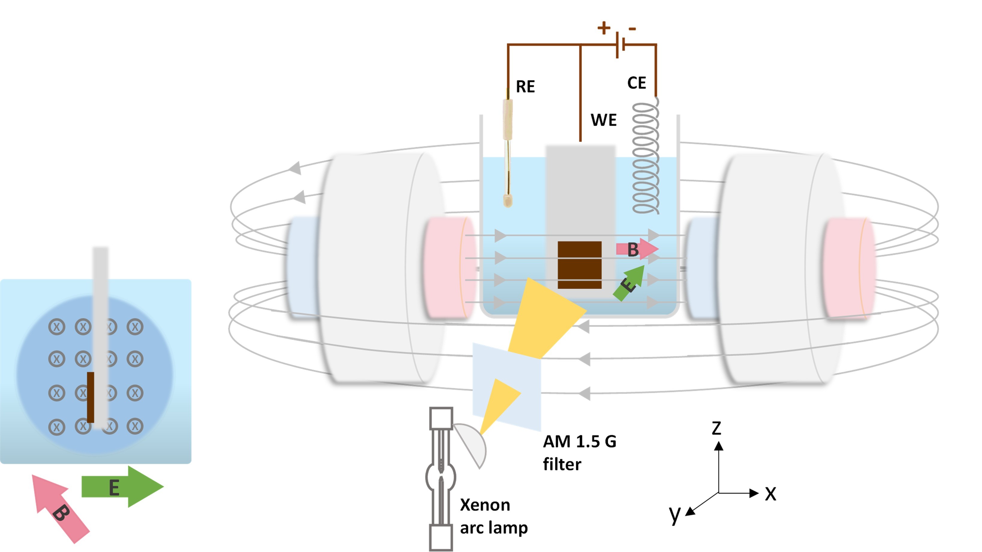 PEC water splitting setup
